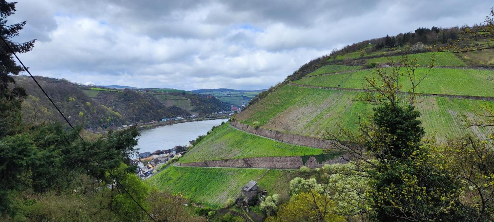 Gemuetliche Wohnung, Kueche, Bad, Netflix, Rheinblick Kaub Exteriör bild